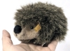 Absolutely Adorable Vintage STEIFF Germany Mini Hedgehog Plush with Ear Button & Cloth Tag - 6" Long - 8