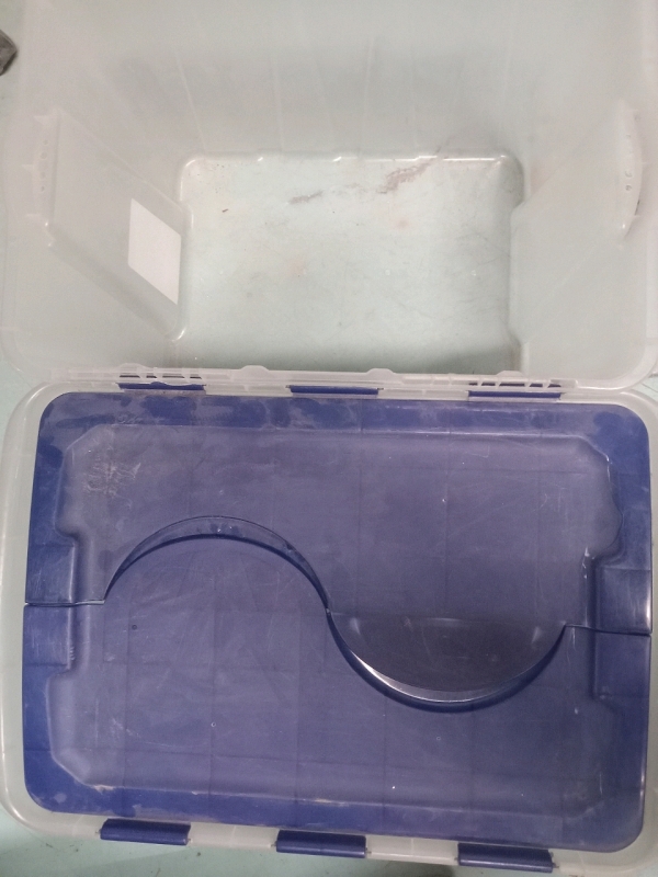2 49.2L Totes | One w/ Lid One w/out