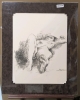 Large Signed Bert Kloezeman 1973 Life Drawing of Nude Reclining Woman Matted & Shrink-Wrapped - 34" x 28"