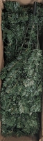 New: Faux Christmas Tree With Lights and Stand - Approx 102" Tall (Estimate)