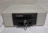 Sentry 1100 Fire Protection Case With Privacy Key - 14" x 9.75" x 6.25"