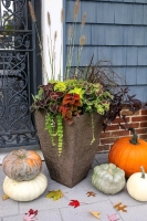 New 15" Tahoe Square Planter : Falcon Brown | Retails Over $65