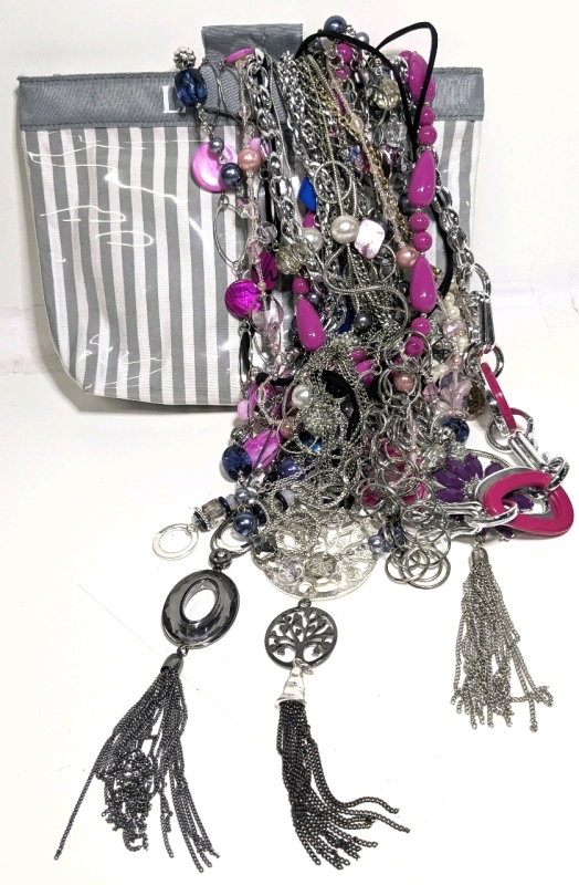 Big Bundle of 10+ Vintage to Modern Necklaces Up to 34" Long in Lamcome Makeup Bag
