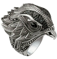 Eagle Ring Detailed Motif Dimentianal Stainless Steel Retro Size 13