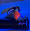 Colourful Rhinestone Toucan Bird Alloy Brooch Vibrant and Exquisite Approximately 1.5 x 1 Inch Nice Glow with UV New Light included - 2