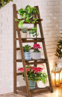 New In Box | Idzo FCPN Brown Ladder Shelf For Plants | * Retails $277 *