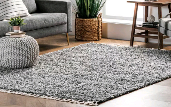 New | Ellis 4ft x 6ft Dark Grey Area Rug | *Retals $250*