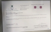 10KT White Gold Natural Ruby (0.28ct) Earring, W/A $495.00. Ruby is the birthstone for July. - 5