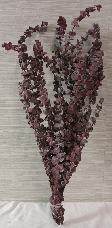 New | 30" Dried and Preserved Eucalyptus Branches | 1 Lb | Frosted Red | Retails $50