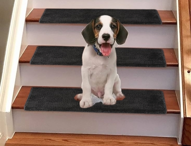3 As-New Jorviz Bullnose Carpet Stair Treads DARK GREY - Soft Non Slip Self Adhesive Indoor Stair Protectors - 9.5" &times; 30"&times; 1.2" ea