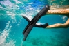 New DiVLMT sz Men's 8-8.5 & Women's 10-10.5 Adult Snorkel Full Foot Pocket Fins, Diving Fins for Freediving Seafishing, Long Flippers for Snorkeling Soft Dive Efficient Thrust Swim Fins Professional with Bag<br/>Retails over $60 - 2