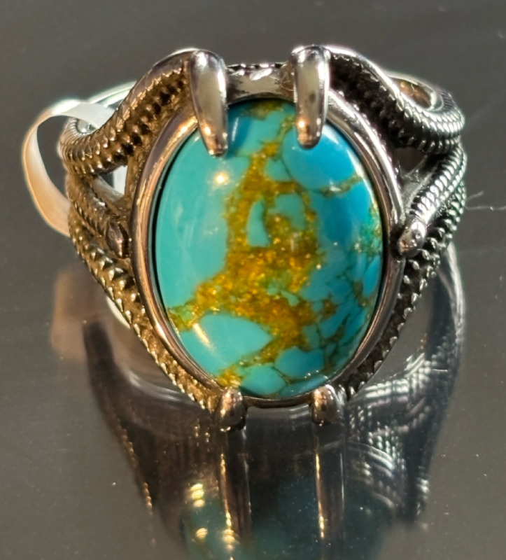 Claw set goose egg stone Men's Titanium 316L Stainless Steel Ring Turquoise Colour size 11