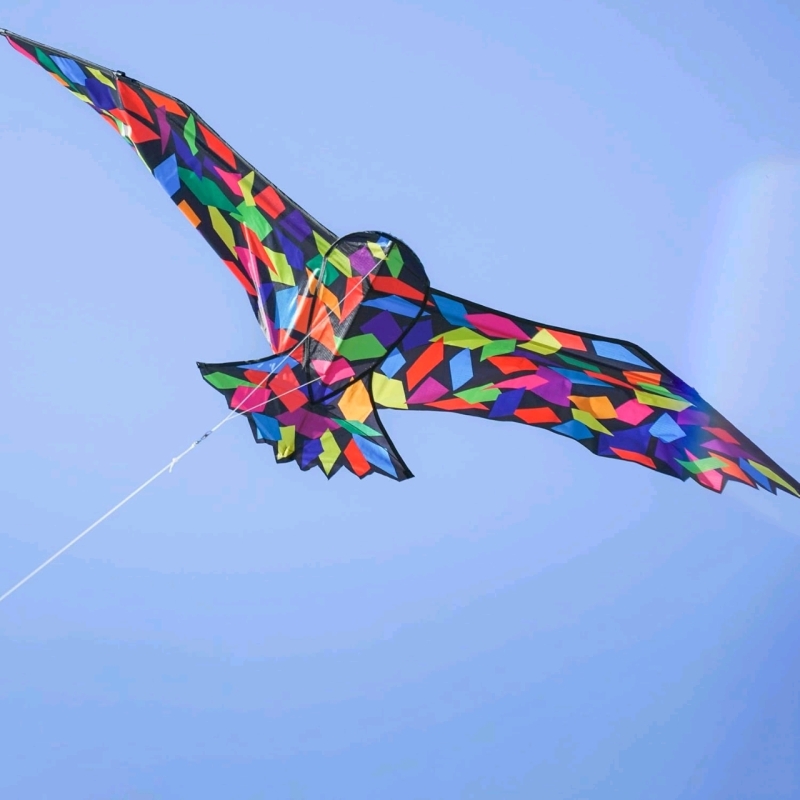 New IN THE BREEZE #3377 70-inch Confetti Bird Kite &mdash; Single-Line Bird Kite; Kite Line Included