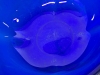 Stunning Cobalt Blue Tulip Bowl Made in Italy 9.25" &times; 3.75" & 5 Textured 8" Diameter Salad Bowls - 4