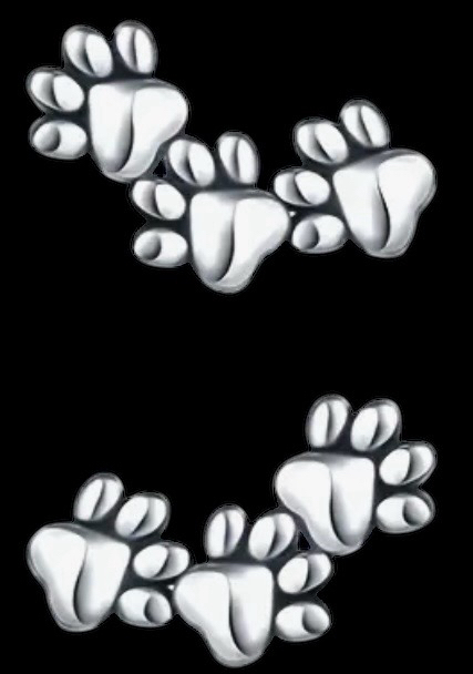 New Pair 925 Sterling Silver Animal Paw Print Earrings Approximately .5 Inch 3 Paw Studs Stamped Post Back + Butterflies