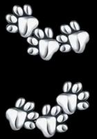 New Pair 925 Sterling Silver Animal Paw Print Earrings Approximately .5 Inch 3 Paw Studs Stamped Post Back + Butterflies