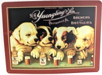New Retro Tin Advertising Sign YUENGLING & SON Brewers & Bottlers - 15.5" &times; 12"