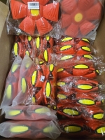 20+ New | Red Flying Saucer Dog Toy * Retails $260 * 9" Dia