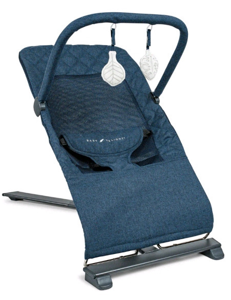 As New In Box | Alpine Deluxe Portable Bouncer | Retails $100+