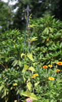 New | Achla Designs Fleur-De-Lis Garden Trellis Tool, 78 Inch Tall, Black Powder Coat Finish