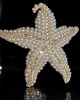 Dazzling Sparkling Starfish Brooch Shining with Light Golden Rhinestones Faux Pearls <br/>Approximately 2.75 x 2.5 Inch