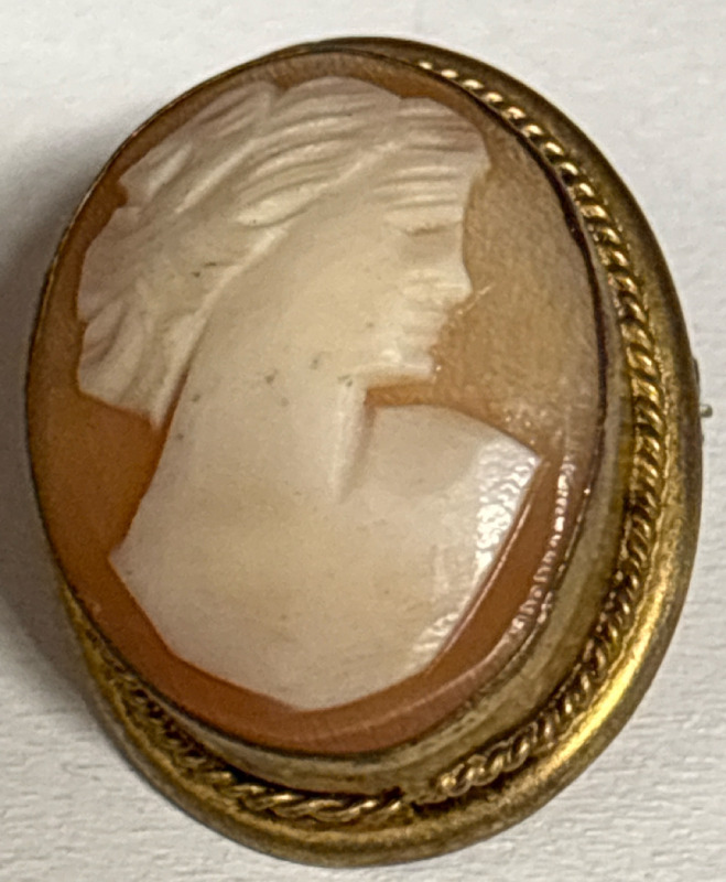 Vintage Hand Carved Shell Cameo Brooch with Loop for Pendant Approximately 1 x .6 Inch