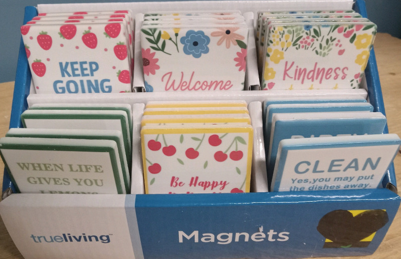 24 New | 3" x 2" Decorative Magnets
