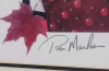 Signed & Numbered Print - Don Cherry & Ron MacLean " Canadian Gothic " by Canadian Artist Rob McDougall , Signed & Numbered Framed Print plus Mpeg DVD . Signed by Don Cherry , Ron MacLean & Rob McDougall . Measures 28.5"&times;35" . - 5