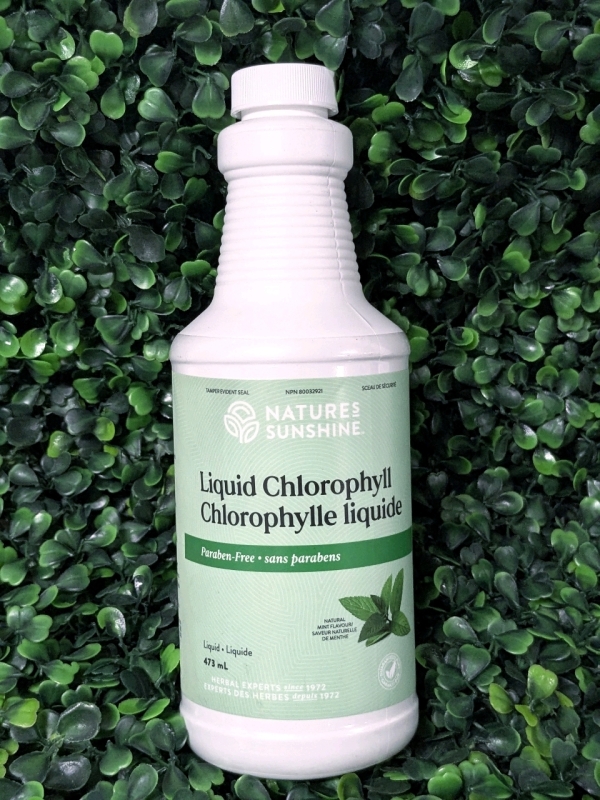 New Nature's Sunshine LIQUID CHLOROPHYLL Supplement (Mint Flavour) - 473ml | EXP 08/2025