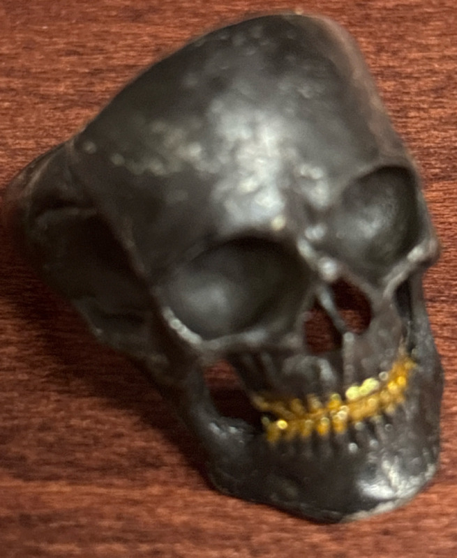 Dimensional Skull Vintage Style Ring Stainless Steel Black Oxidized Finish with Textured Detail Size 13