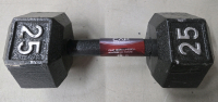 As Is |25Lbs Cast Iron Hex Dumbell 12" Long
