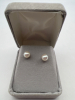 14K Gold White Pearl Stud Earrings