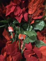 20+ | Faux Poinsettia 18" Tall