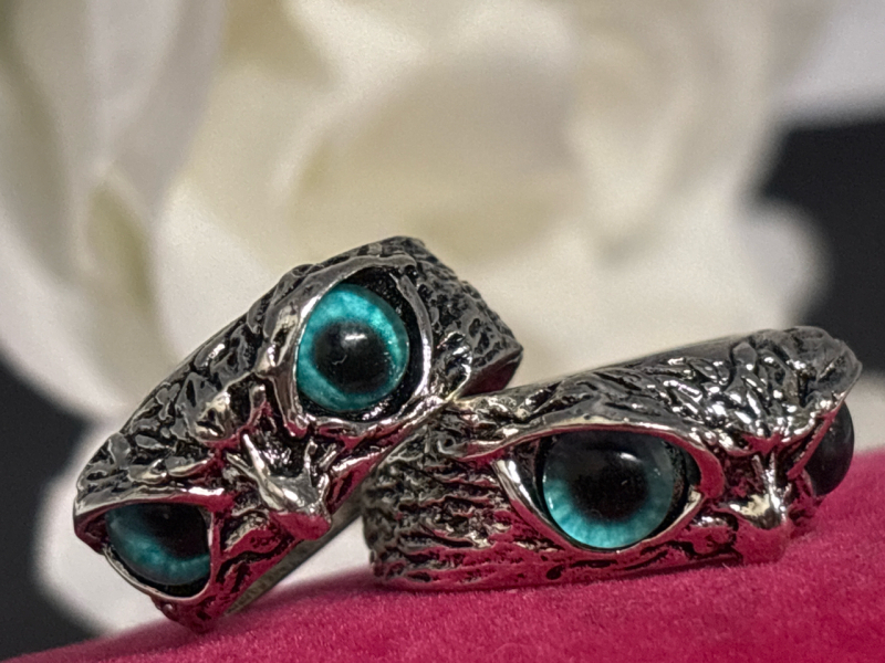 Two Blue Eyed Wise Owl Rings Textured Large Black Pupils Adjustable