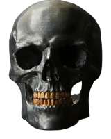 Steampunk Skull Ring Vintage Style with Golden Tooth Detail Stainless Steel Size 10
