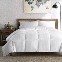 New Eddie Bauer Premium Alternative Duvet - Queen Sized