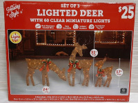 New in Box Holiday Lighted Deer