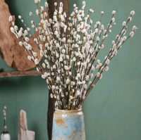 40 New | High Quality 100% Natural Dried Pussy Willow Stems | Retails $70