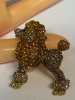 Chic Rhinestone Dog Brooch<br/>Poodle Honey Citrine Black Stone Eye <br/>Approximately 2 x 1.70 Inch Back Bale for Pendant - 5