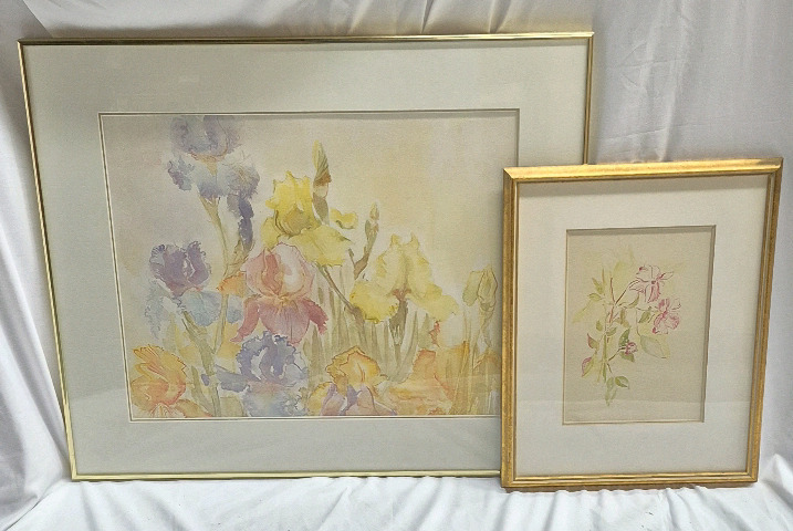 2 Framed Floral Watercolour Signed