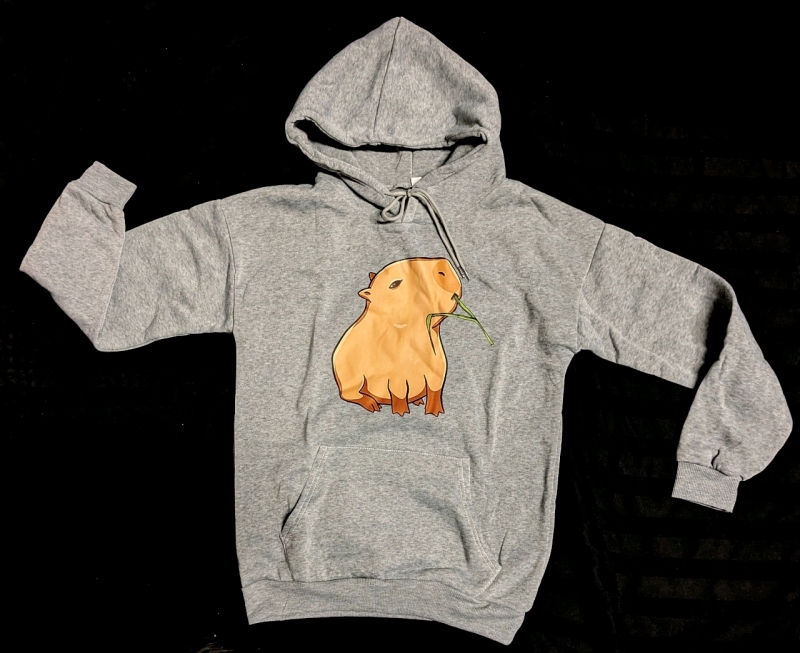 New Size MED Women's Adorable Capybara Graphic Hoodie Sweater