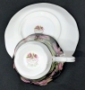 ROYAL ALBERT Provincial Flowers Teacup & Saucer : Pitcher Plants 1975 - Rings True - 4