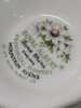 ROYAL ALBERT Provincial Flowers Teacup & Saucer : Mountain Avens 1975 - Rings True - 5