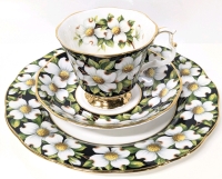 ROYAL ALBERT Provincial Flowers Teacup, Saucer & Bread + Butter Plate : Dogwood 1975 - Rings True