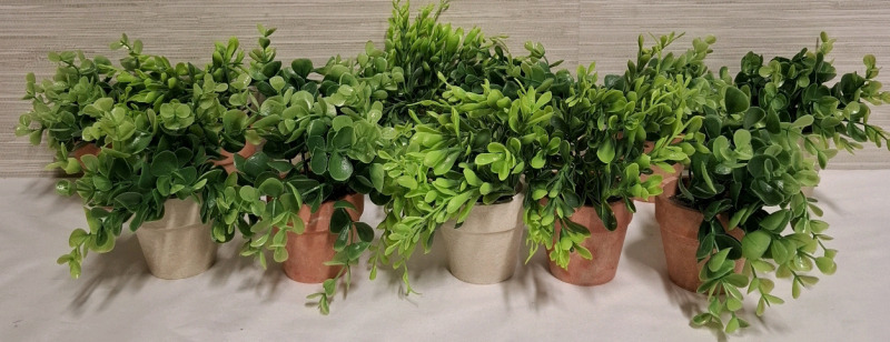 12 New Trueliving Artificial Plants with Clay Pots for Decoration | Height- 4.6" approx.