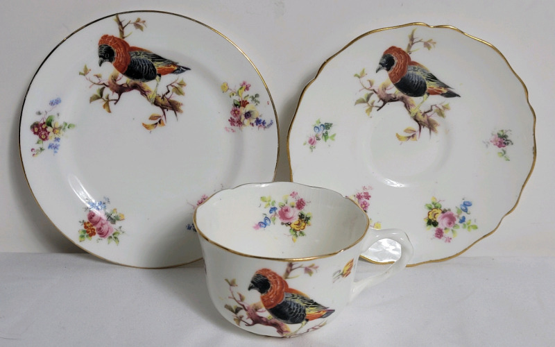 Vintage Royal Doulton " Exotic Birds " Cup & Saucers . All Rings True , Crazing Present on Cup