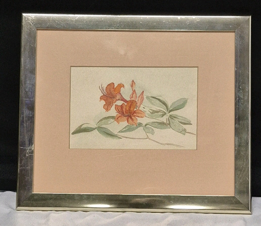 Framed Floral Watercolour Signed 12 by 10"