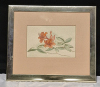 Framed Floral Watercolour Signed 12 by 10"