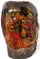 Huge Specimen! Scorpion Encased in Large Chunk of Resin - 8.15" Tall