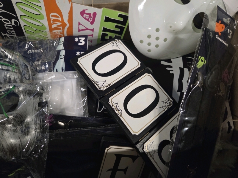 Big Lot FULL of New Halloween Supplies + More : Box Measures 22" x 13" x 12" | Retails $50+